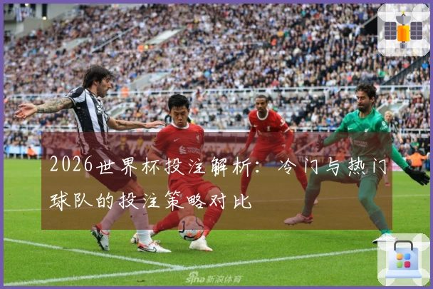 2026世界杯投注解析：冷门与热门球队的投注策略对比