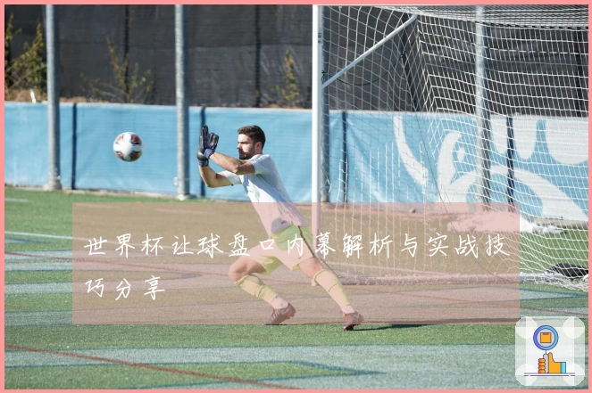 世界杯让球盘口内幕解析与实战技巧分享