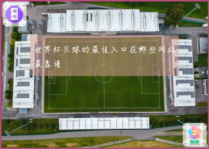 世界杯买球的最佳入口在哪些网站最靠谱