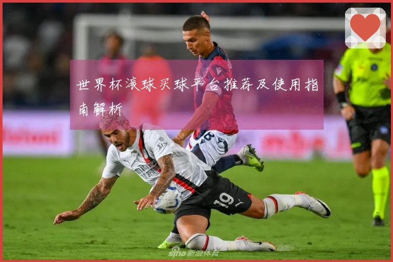世界杯滚球买球平台推荐及使用指南解析