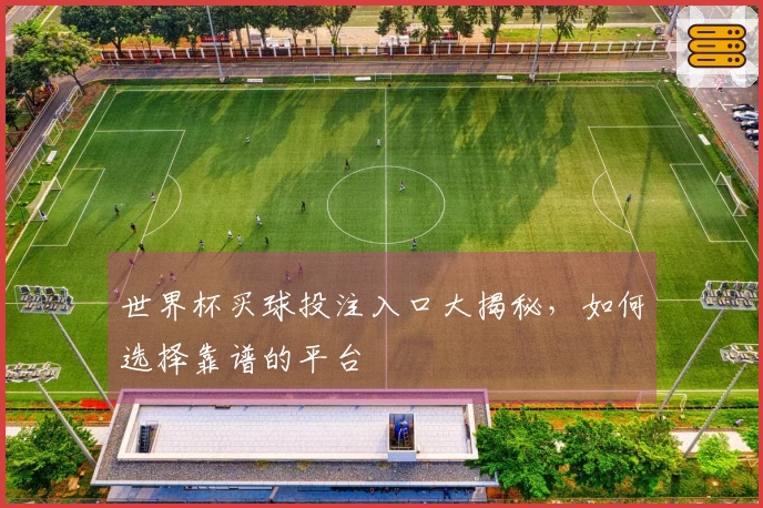世界杯买球投注入口大揭秘，如何选择靠谱的平台