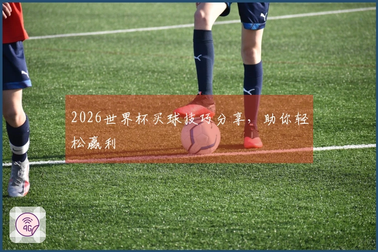 2026世界杯买球技巧分享，助你轻松赢利