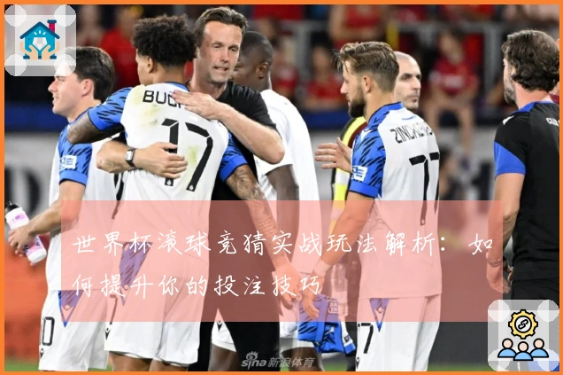 世界杯滚球竞猜实战玩法解析：如何提升你的投注技巧